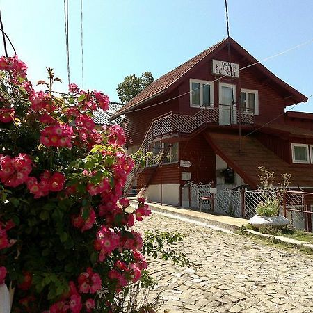 Pensiunea Floare De Colt Sinaia Luaran gambar